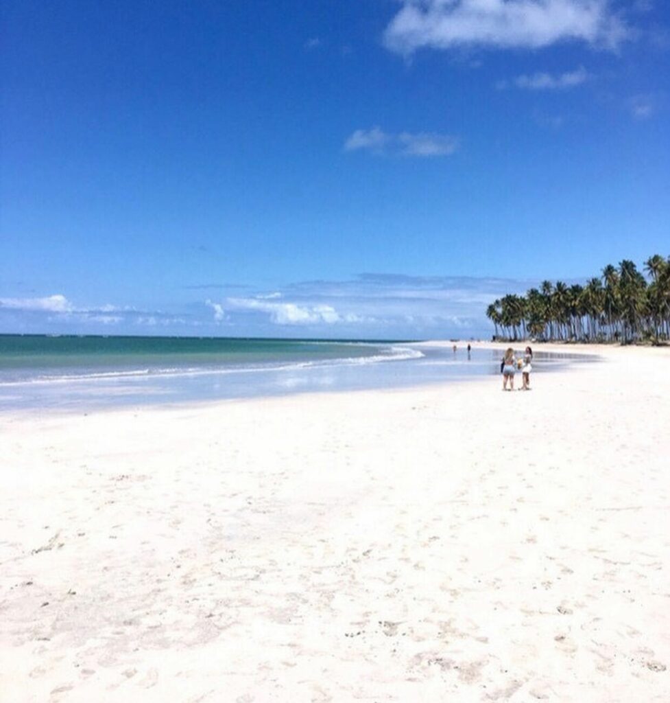 Linda Paisagem da Praia dos Carneiros PE