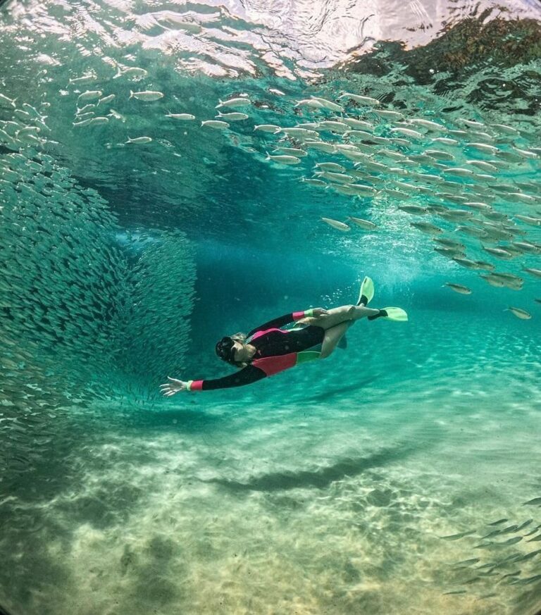 Mergulho em Fernando de Noronha