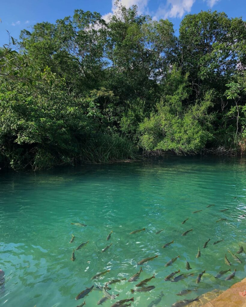 Fazenda Ceita Corê, localizada em Bonito (MS)