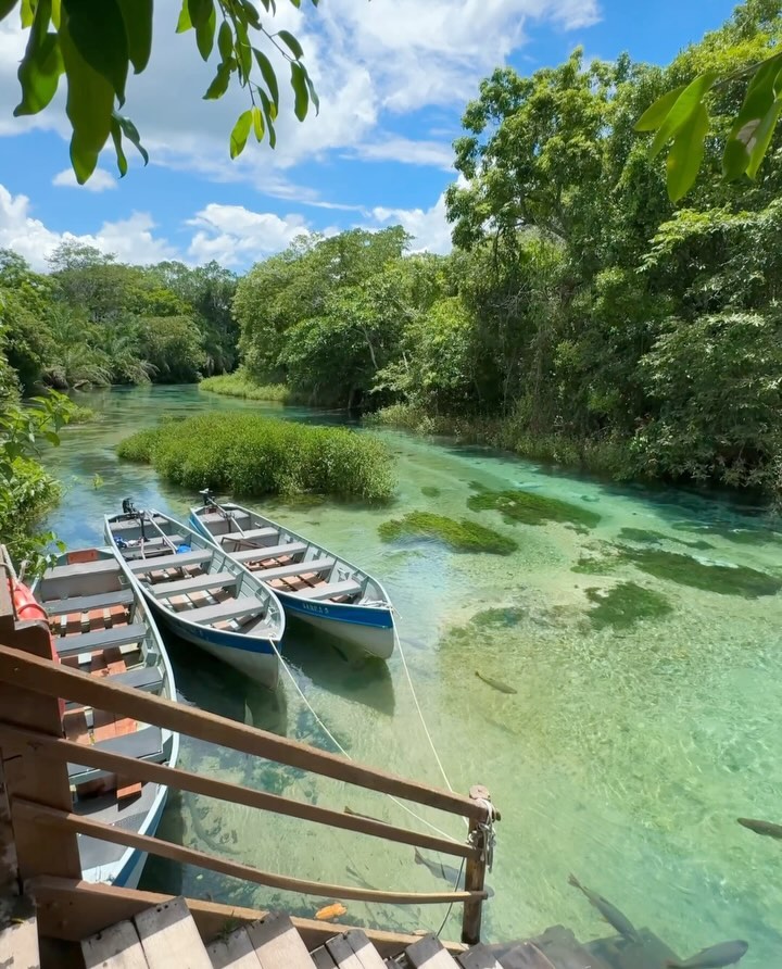 Rio Barra do Sucuri, Bonito MS