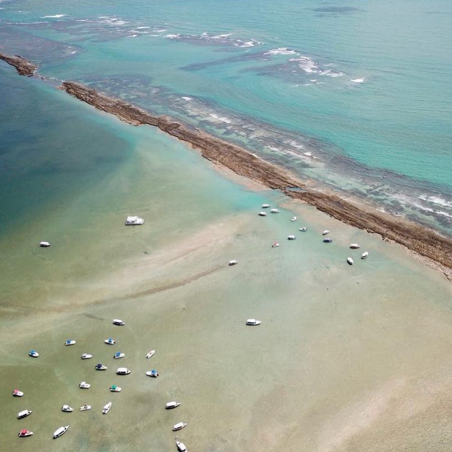 Vista de drone da Praia de Carneiros PE