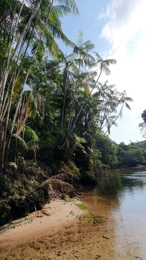 Beira do Rio Arruda - Marros MA