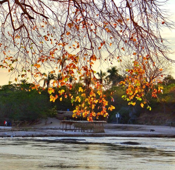 Final da Tarde em Floriano PI