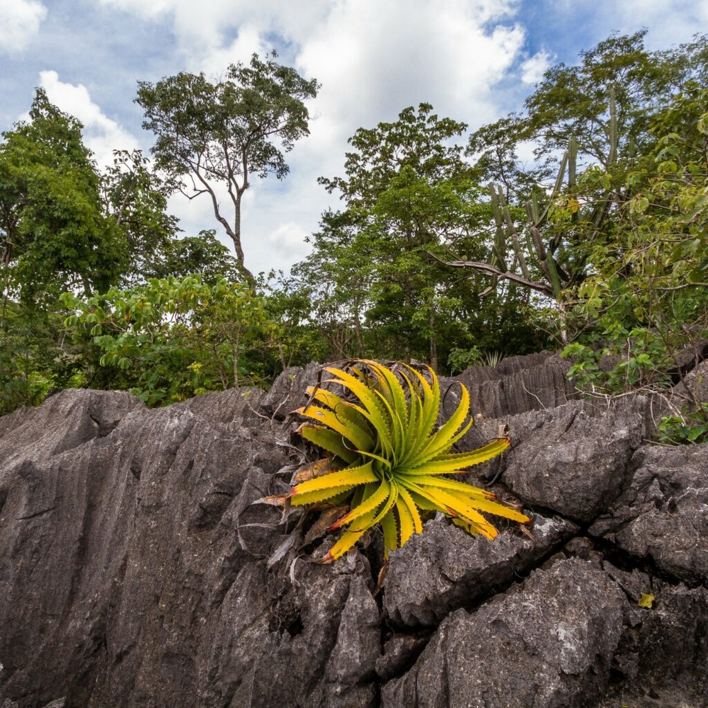 Parque Nacional Serra das Confusões PI