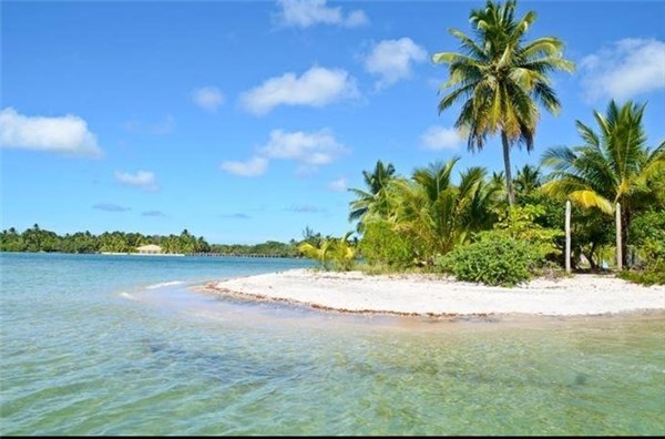 Ilha do Sapinho - Península de Maraú