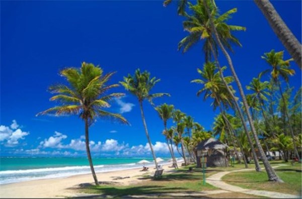 Lindas Praias em Porto de Galinhas