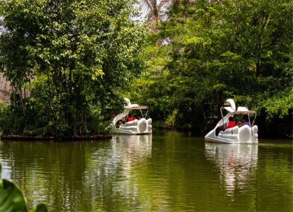 Pedalinho Bioparque - Zoobotânico de Teresina 