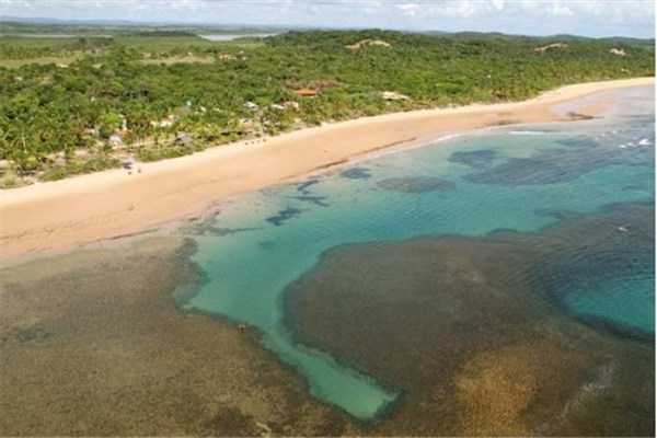 Praia de Algodões - Península de Maraú