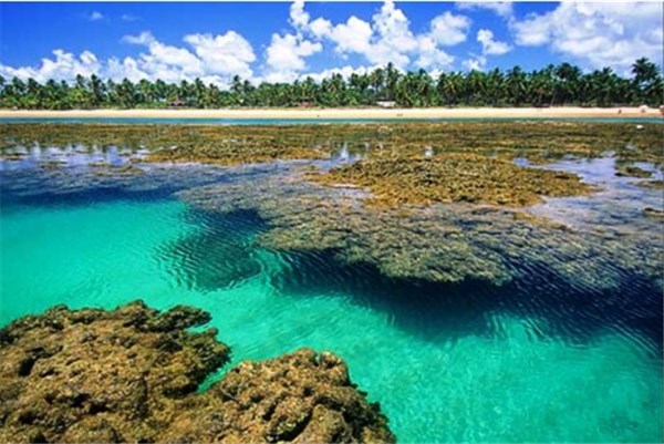 Praia de Taipu de Fora - Península de Maraú 