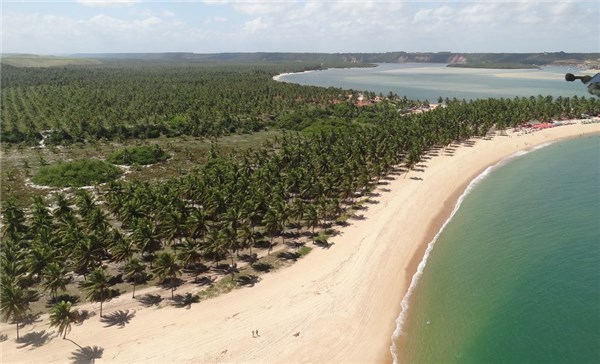 Praia do Gunga - Vista Aérea